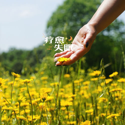 疗愈失眠|α波+自然白噪音