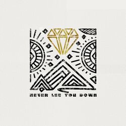 Cover of Never Let You Down