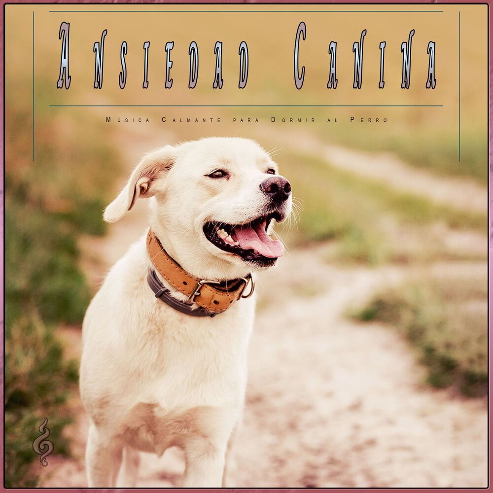 Picture of Ansiedad Canina: Música Calmante para Dormir al Perro