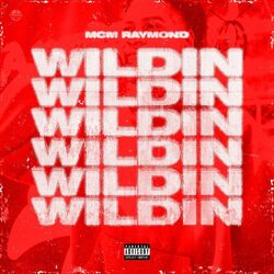 Cover of WILDIN