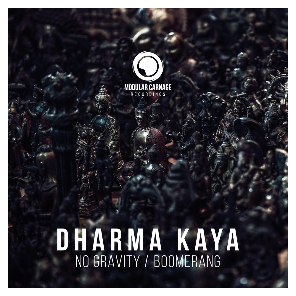 Picture of No Gravity / Boomerang