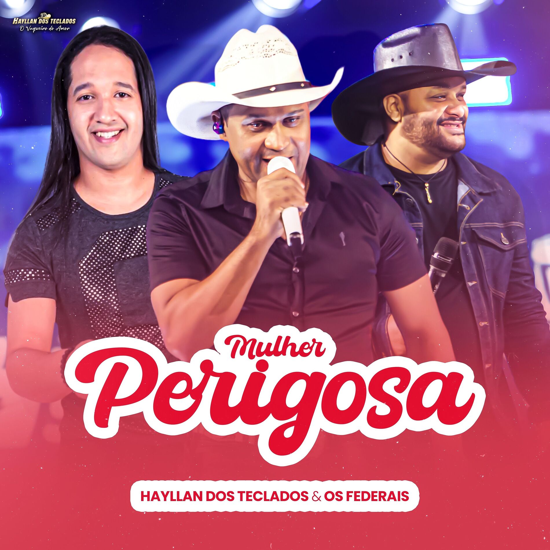 Album cover of Mulher Perigosa