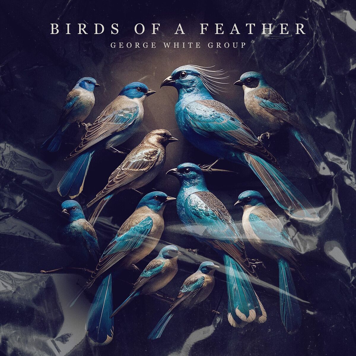 Album cover of BIRDS OF A FEATHER