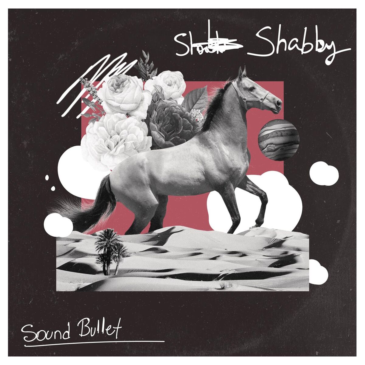 Album cover of Shabby