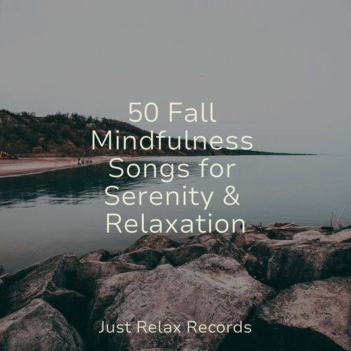 50 Fall Mindfulness Songs for Serenity & Relaxation
