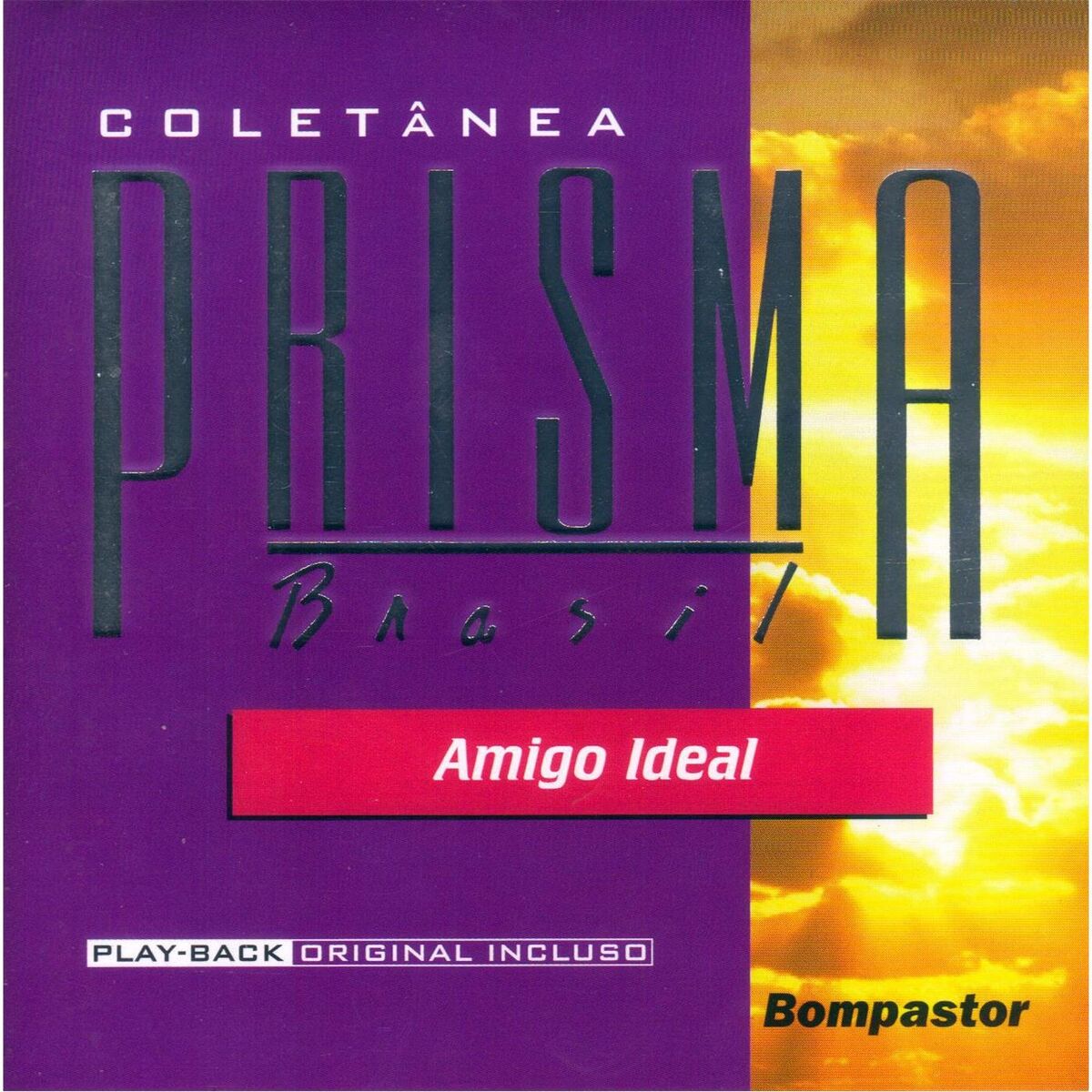 Album cover of Amigo Ideal