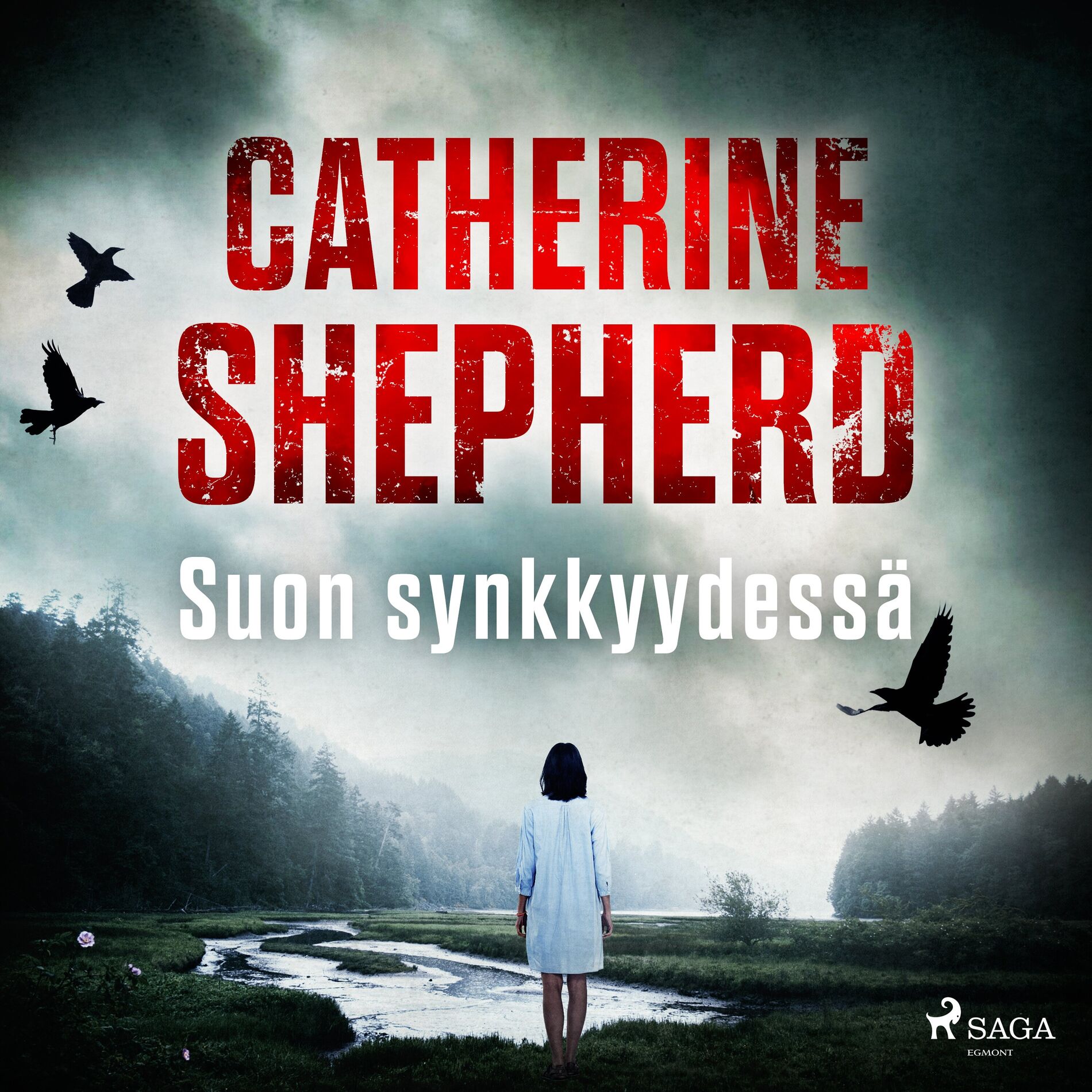 Album cover of Suon synkkyydessä