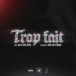 Cover of Trop fait