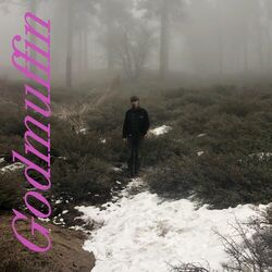 Cover of Godmuffin