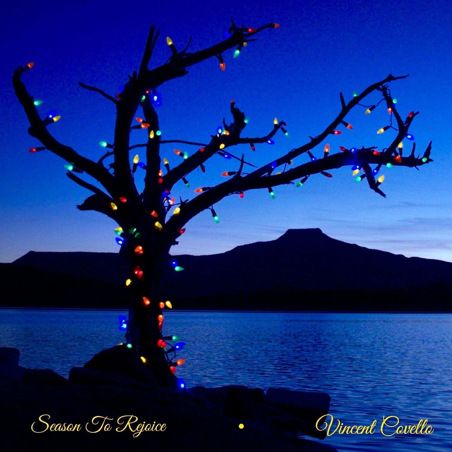 Album cover of Season To Rejoice