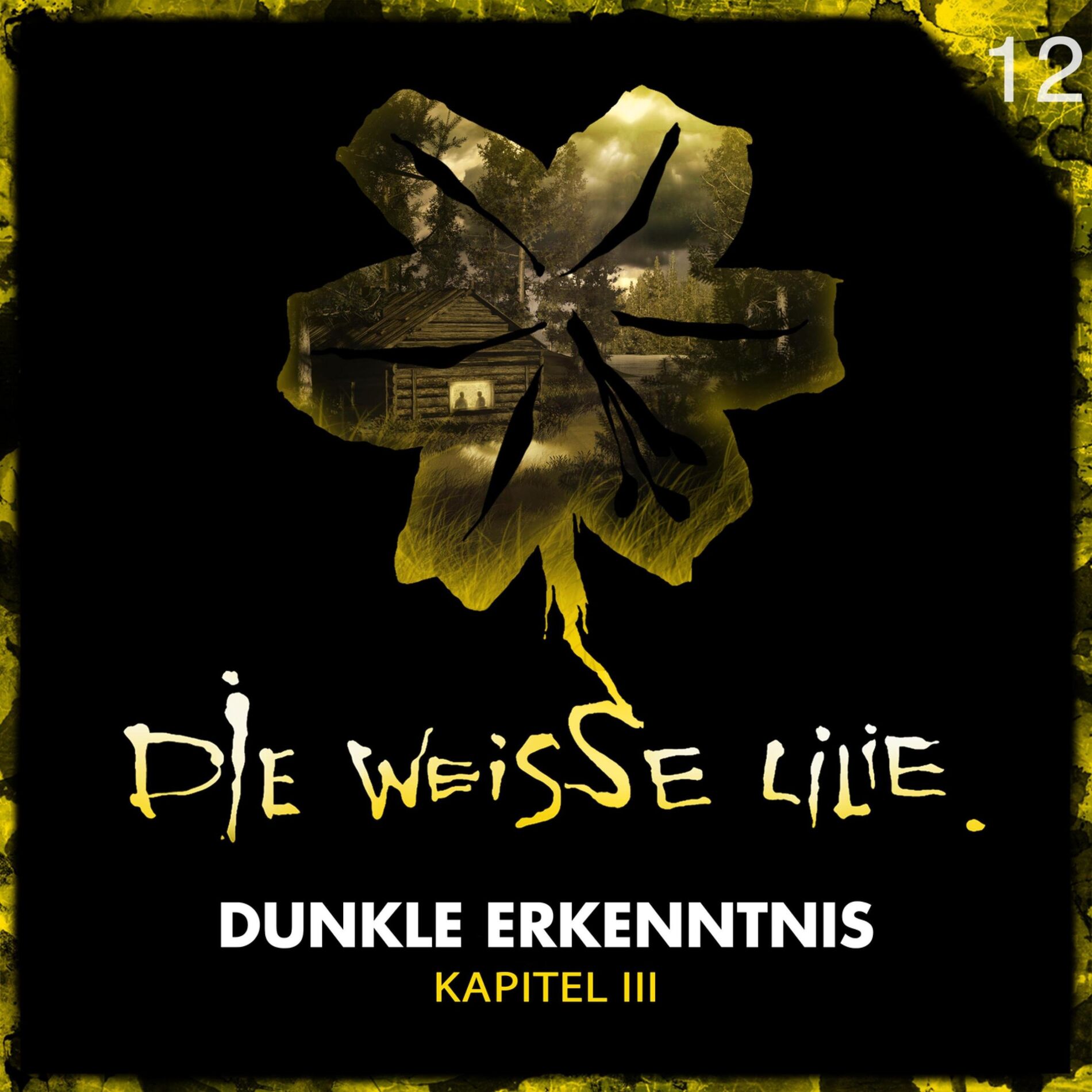 Album cover of 12: Dunkle Erkenntnis - Kapitel III