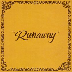 Cover of Runaway