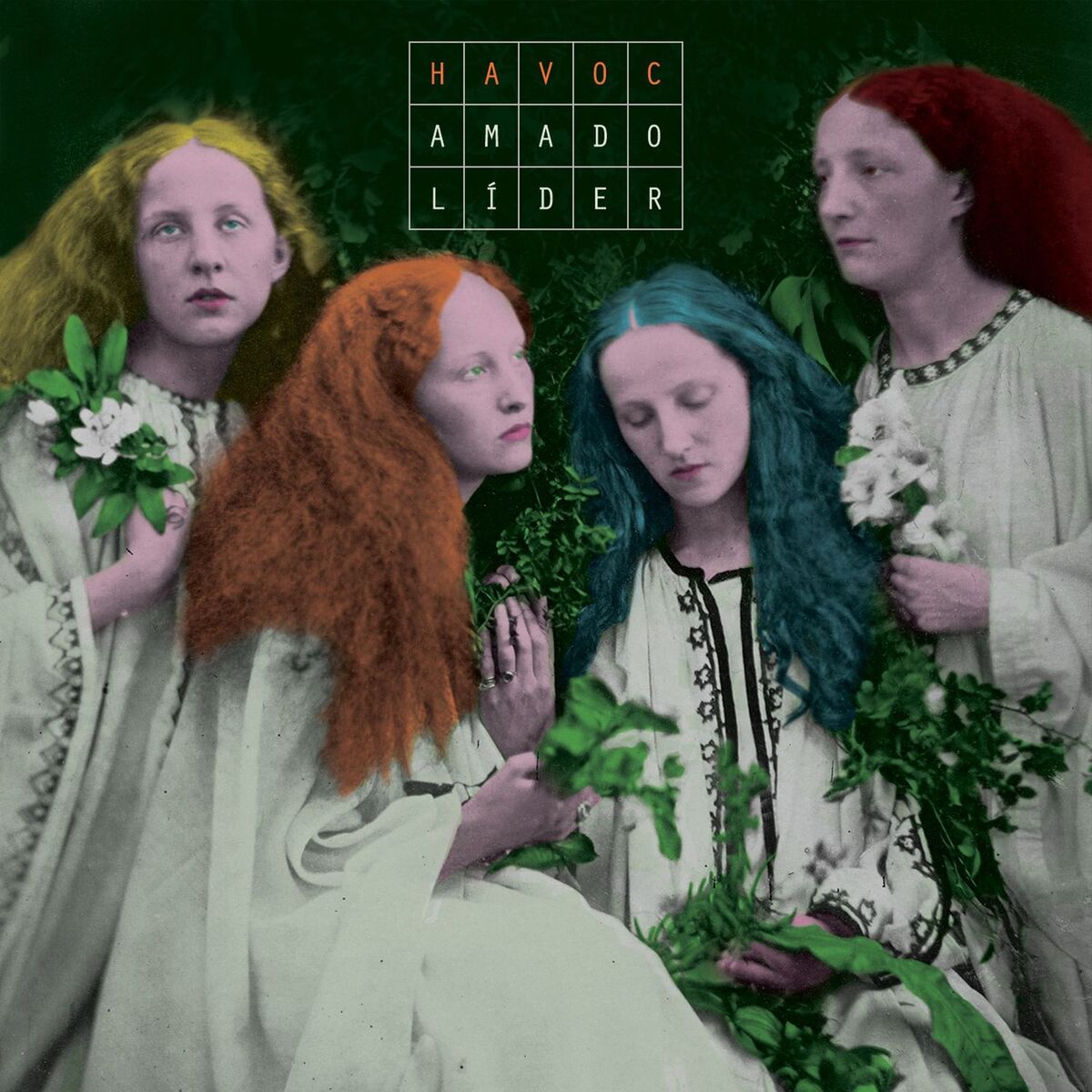 Album cover of Amado Lider