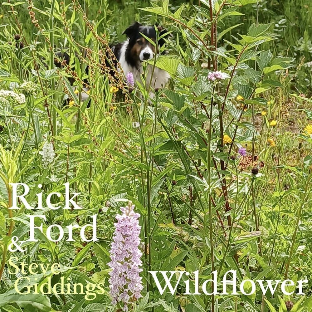 Picture of Wildflower