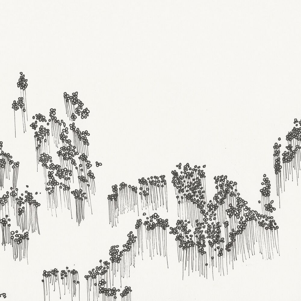 Picture of Balloons
