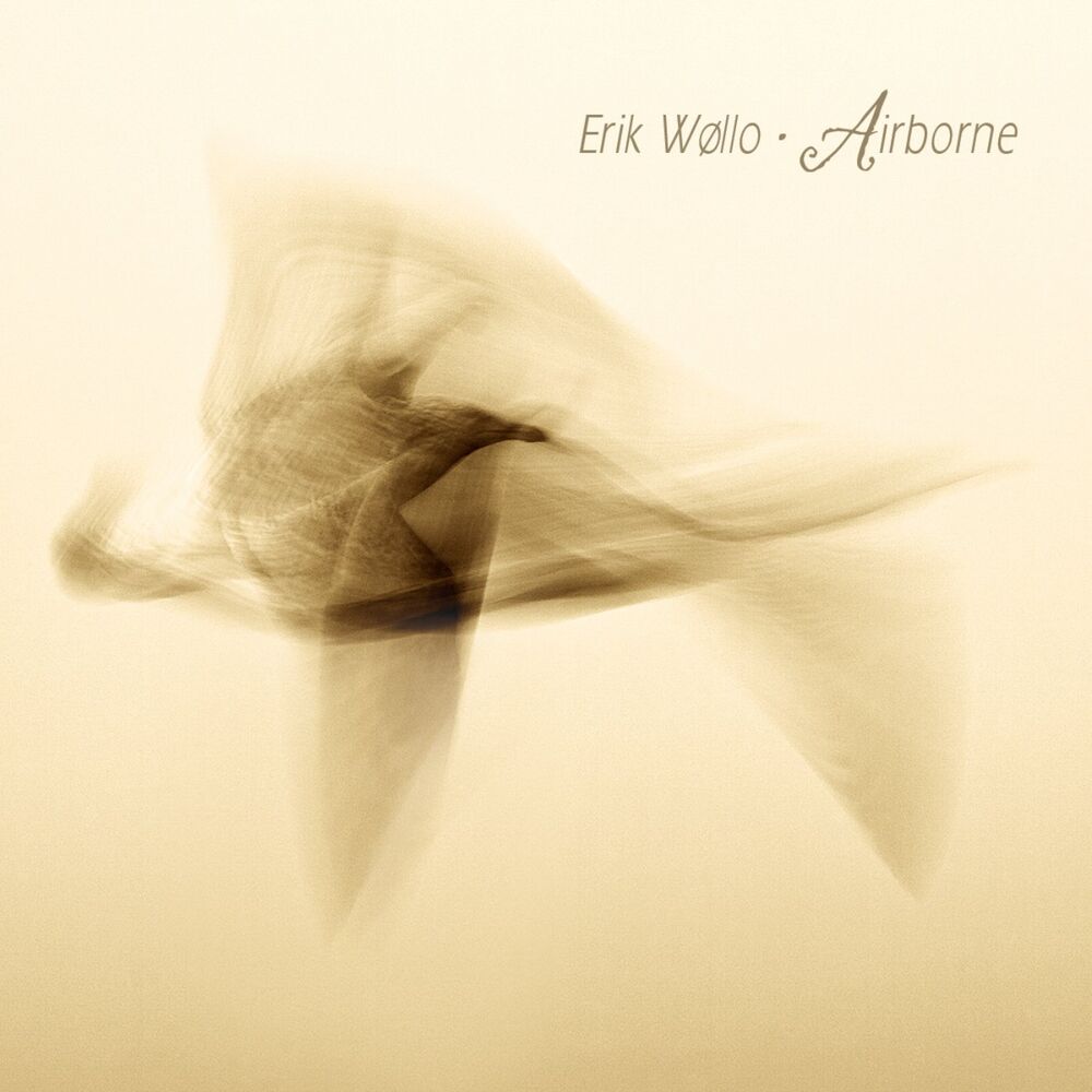 Picture of Airborne