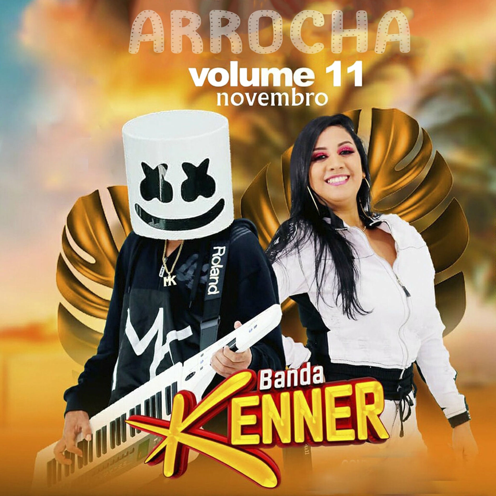 Album cover of Vol 11 Novembro