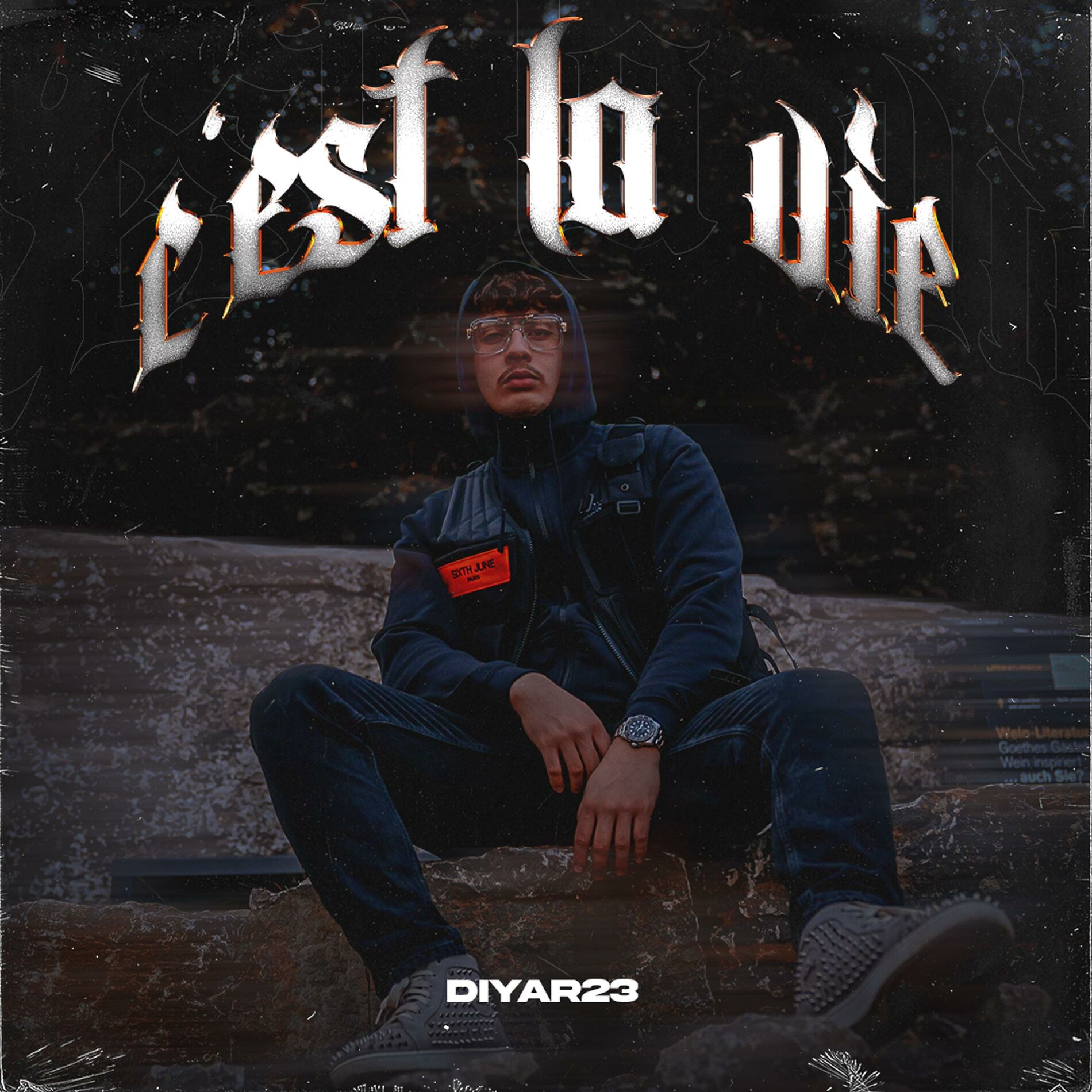 Album cover of C'est la vie