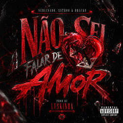 Cover of Não sei falar de Amor by undefined