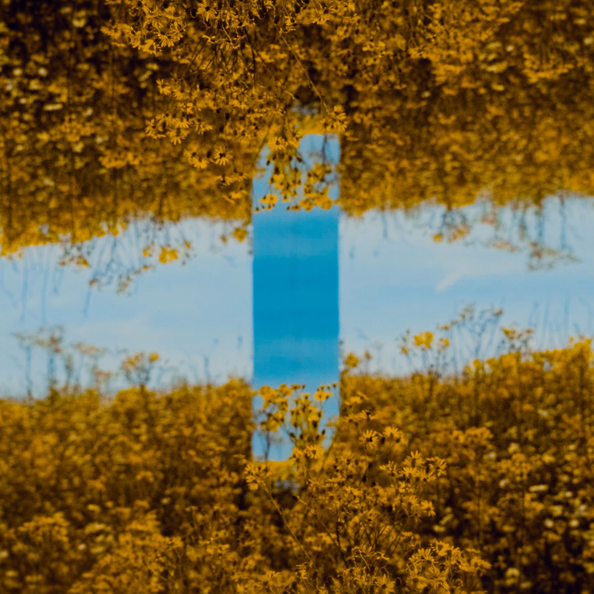 Album cover of World Of Reflections