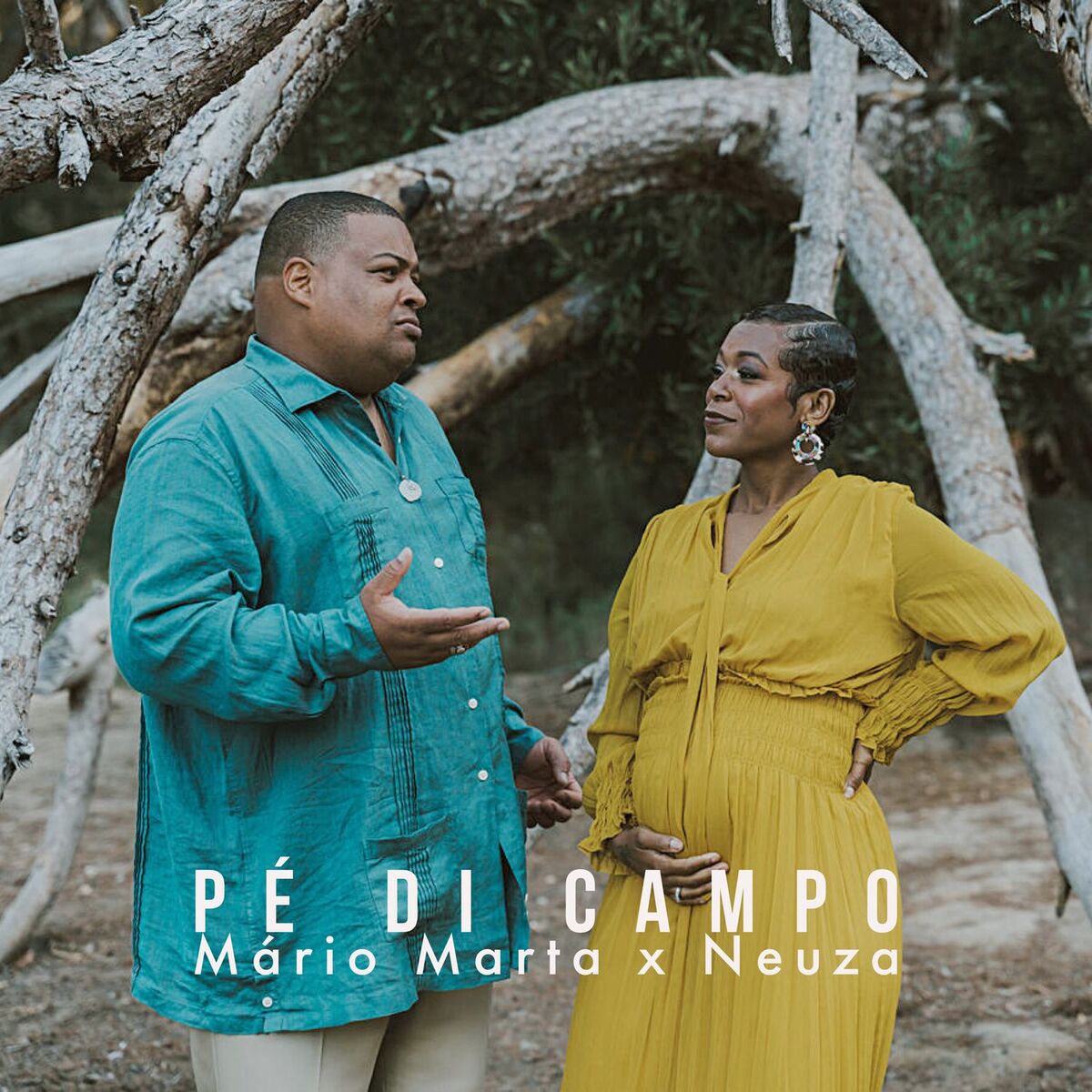 Album cover of Pé Di Campo