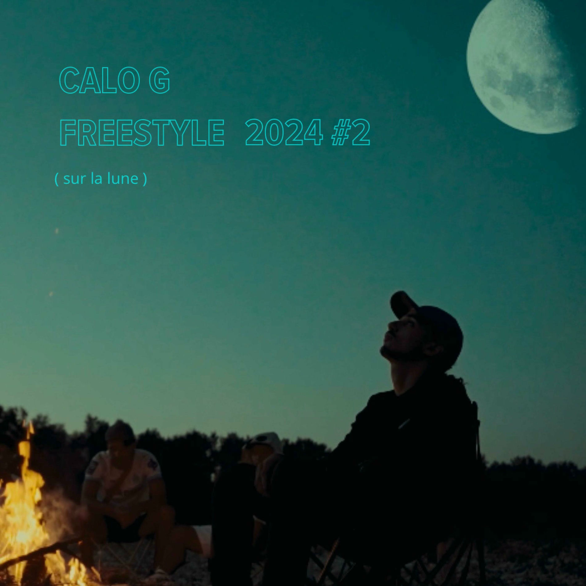 Album cover of Freestyle 2024 #2