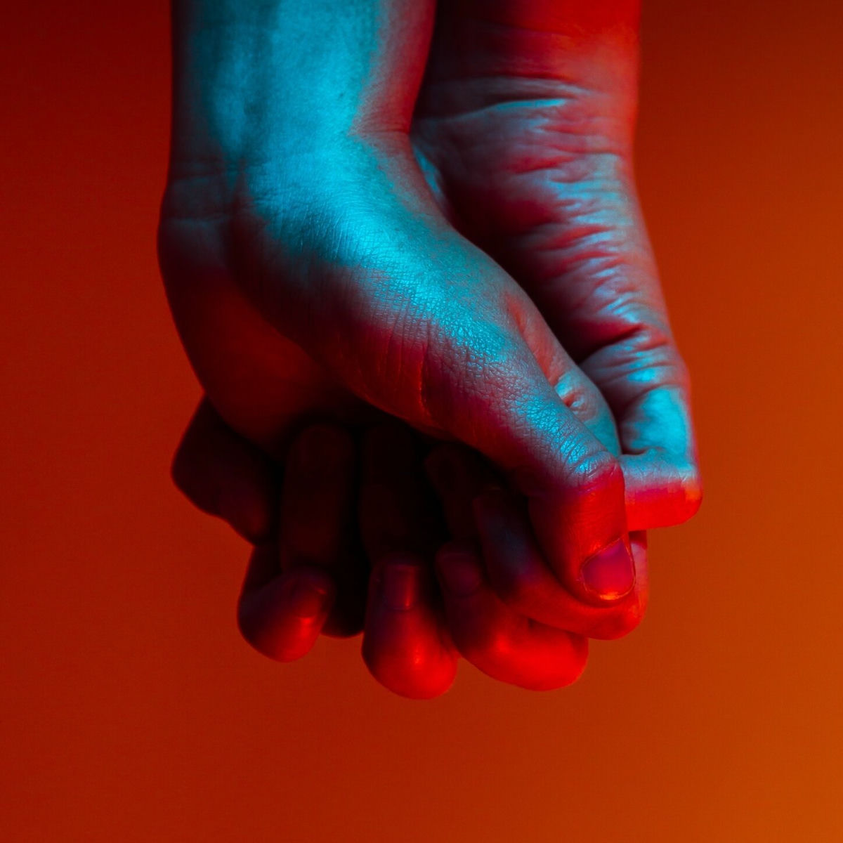 Album cover of Wolf