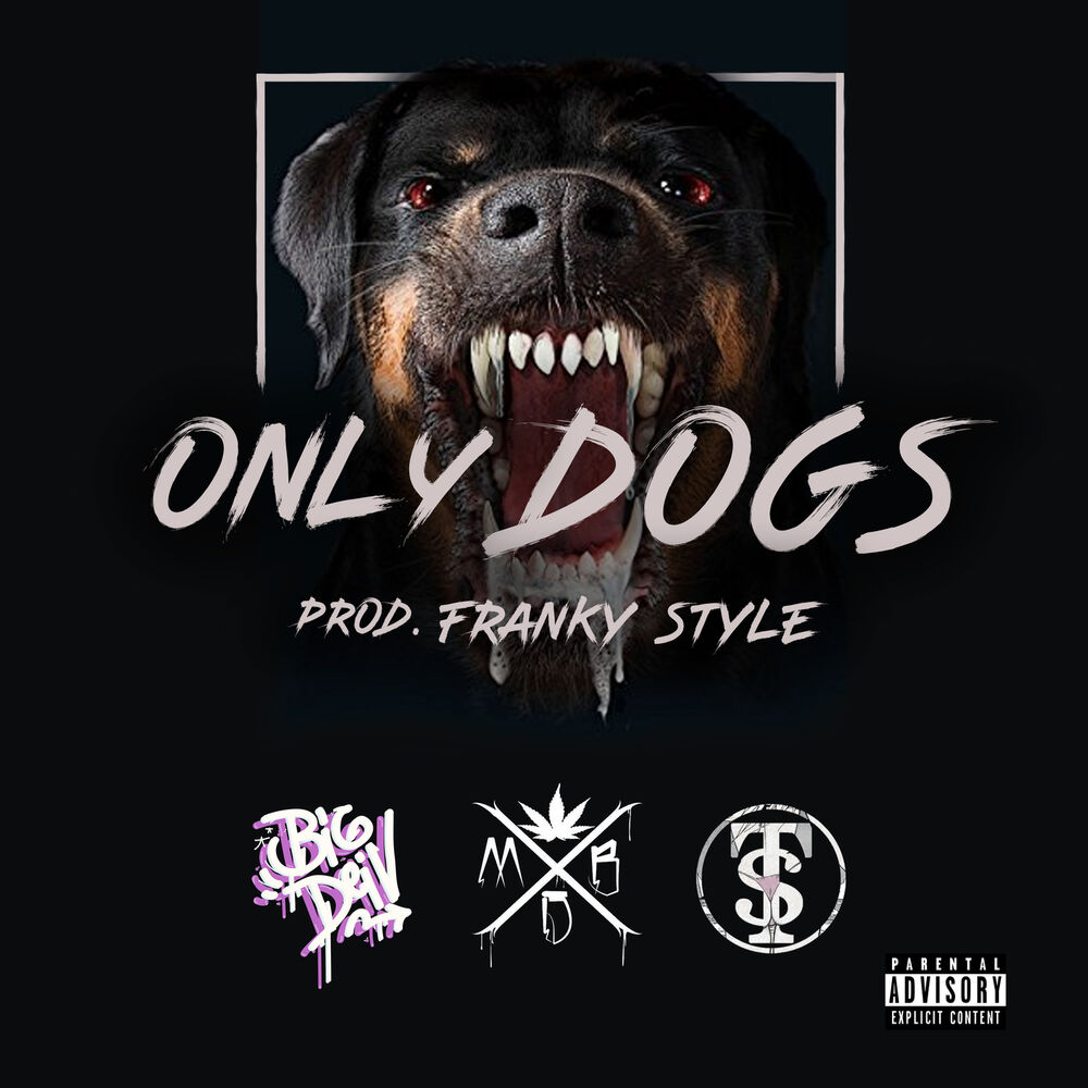 Picture of Only Dogs