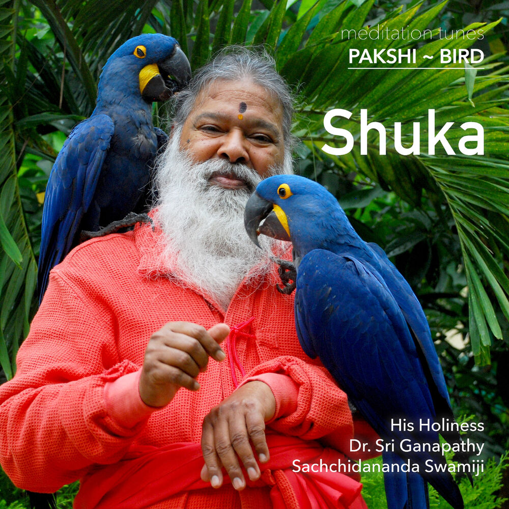 Picture of Meditation Tunes - Pakshi / Bird - Shuka