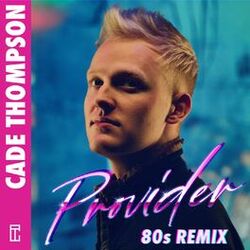 Cover of Provider (80s Remix)