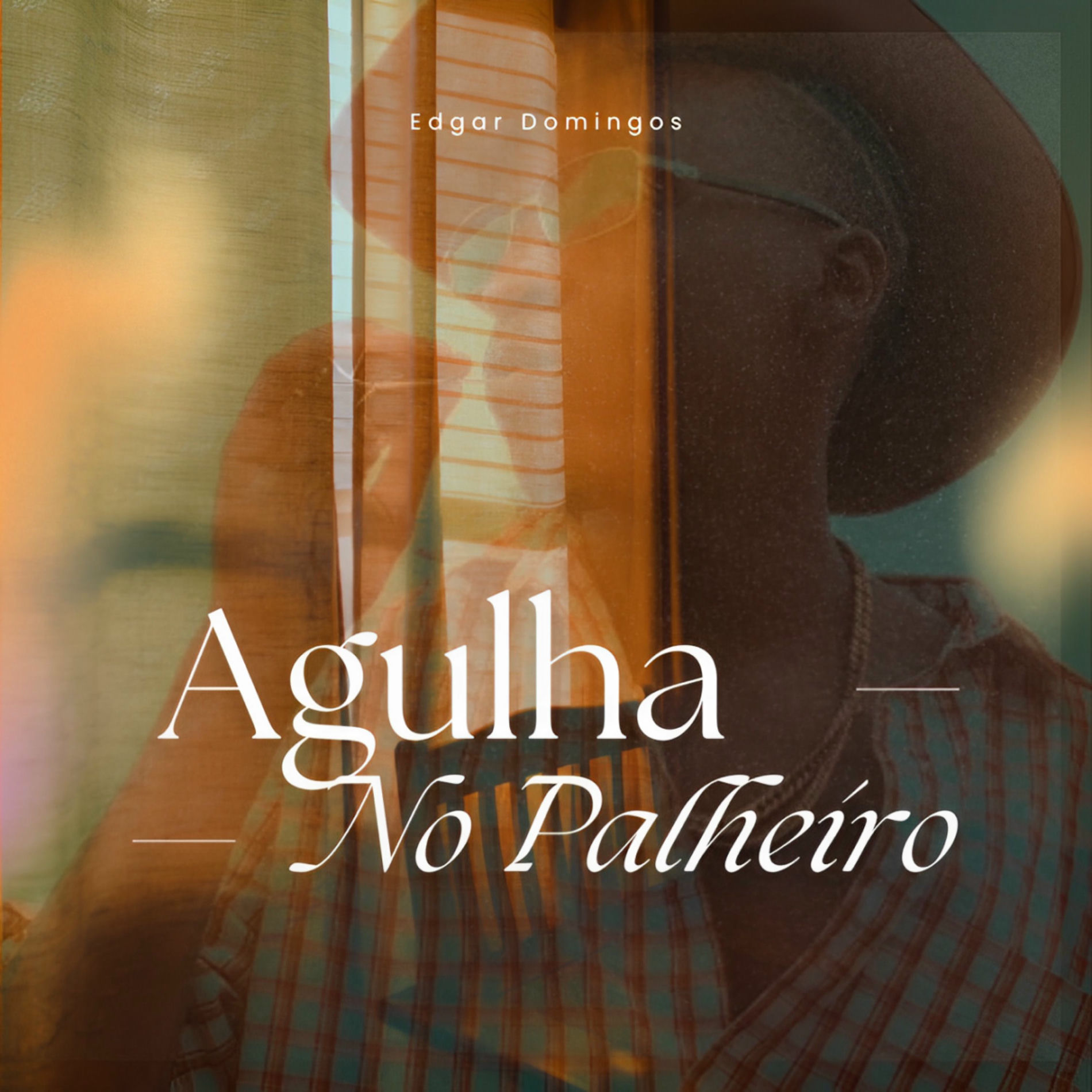 Album cover of Agulha no Palheiro