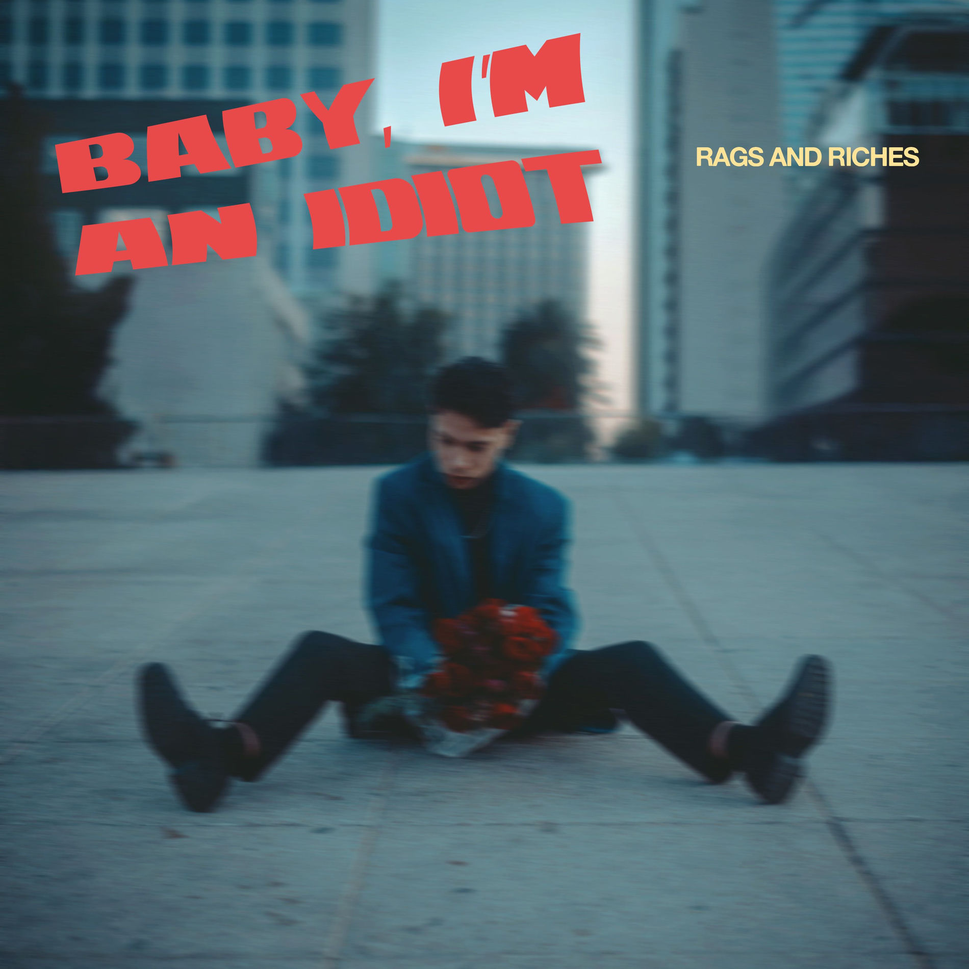 Album cover of Baby, I'm An Idiot