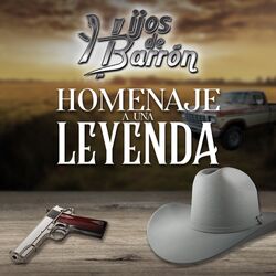 Cover of Homenaje a una Leyenda