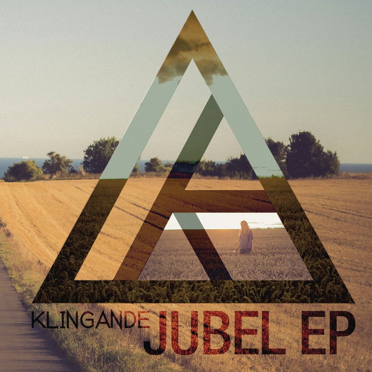Album cover of Punga