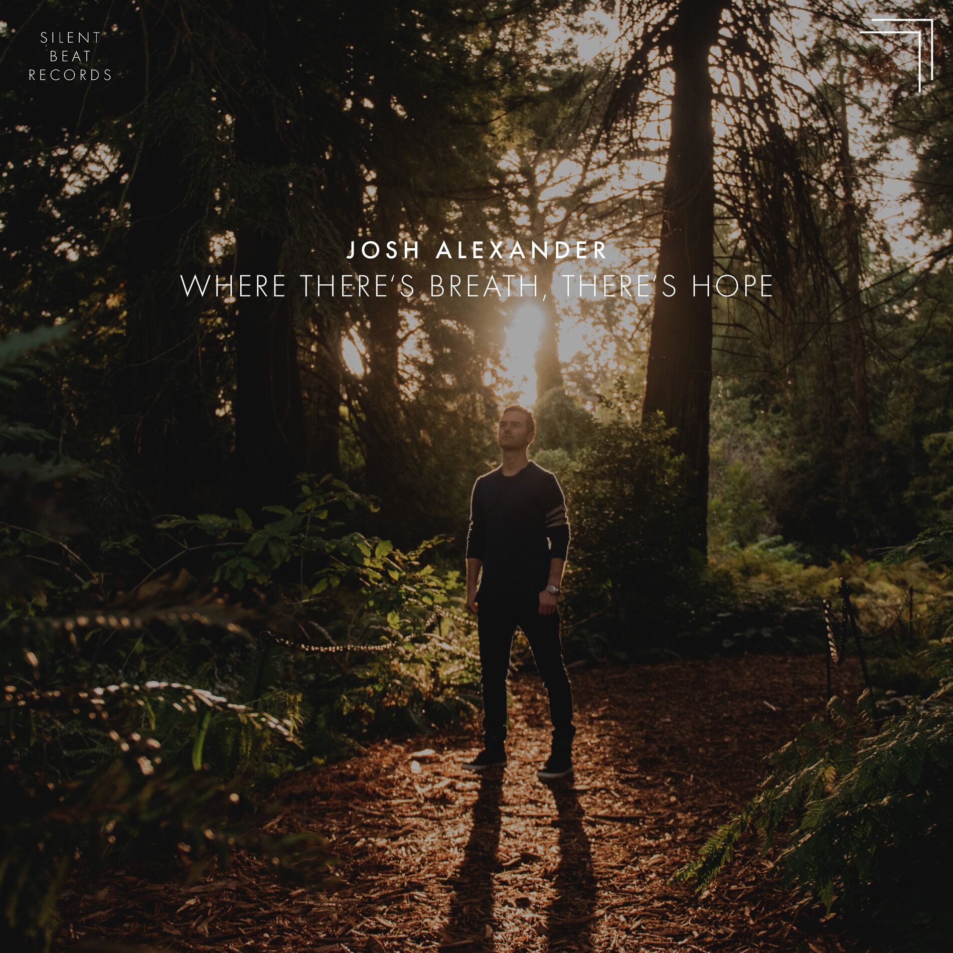 Album cover of Where Nothing Hurts