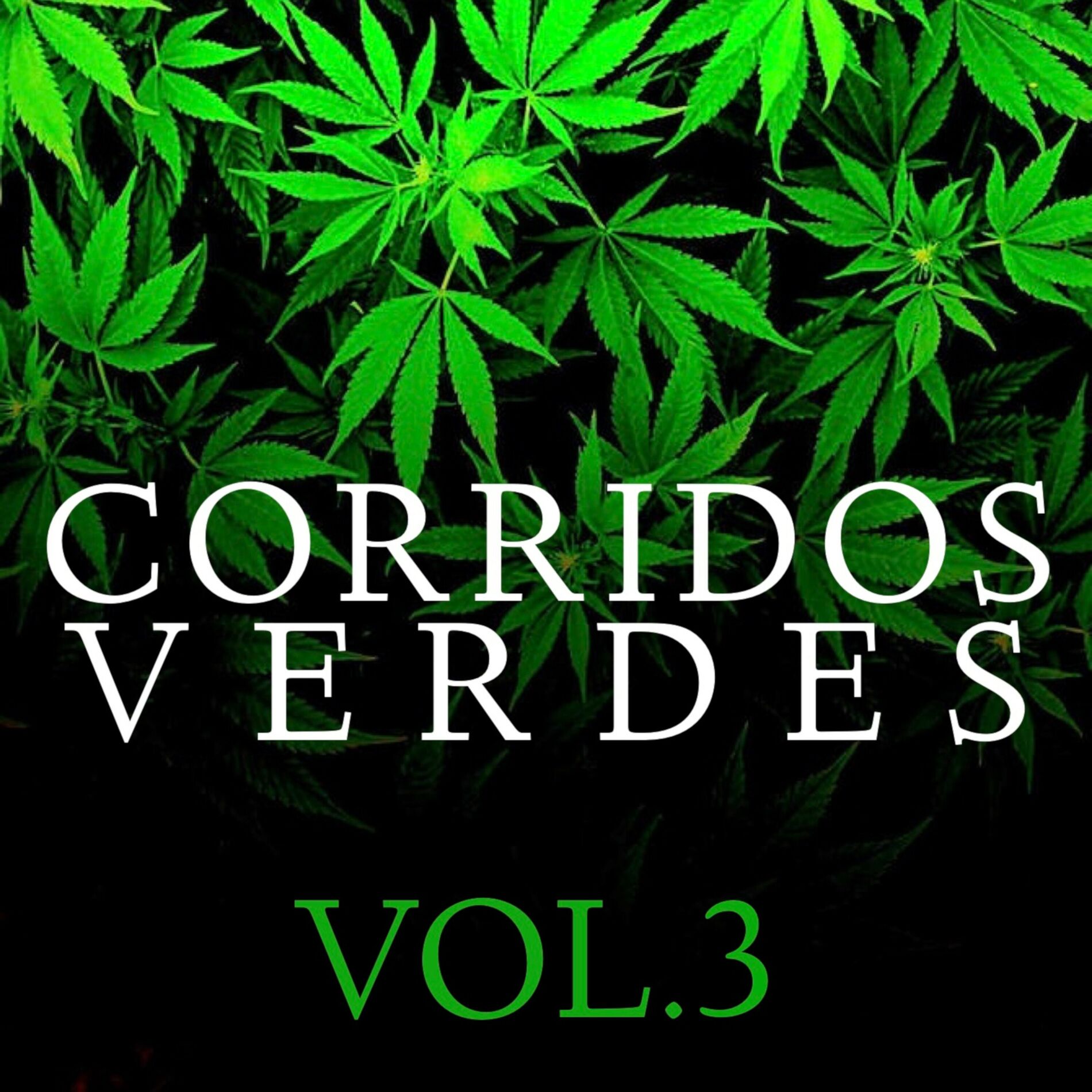Album cover of Corridos Verdes Vol. 3