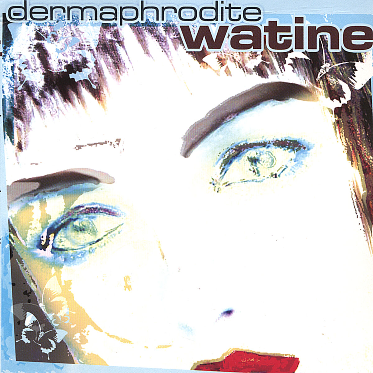 Album cover of Dermaphrodite