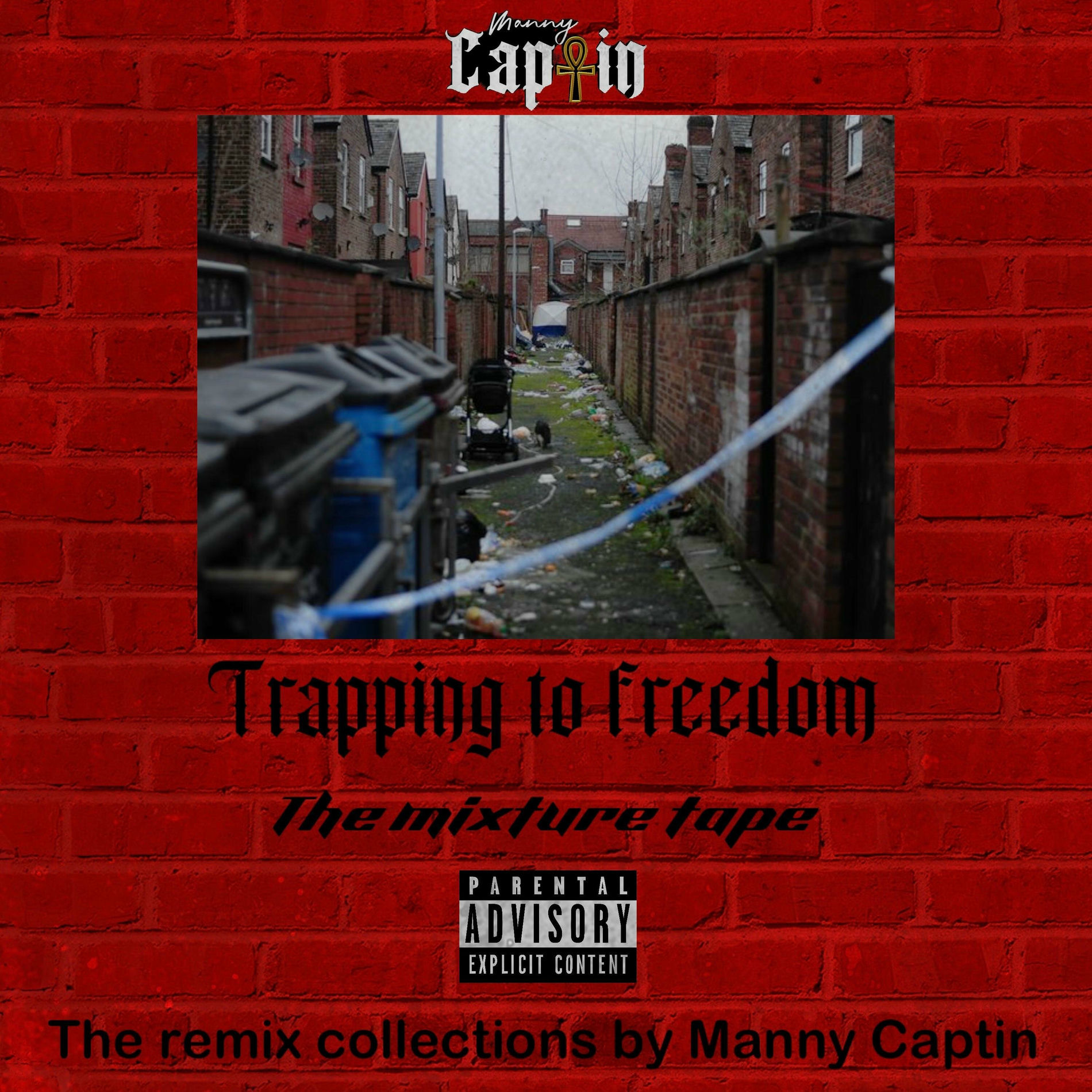 Album cover of The Mixture Tape