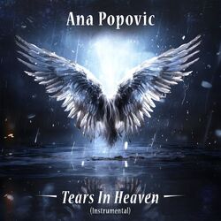 Cover of Tears In Heaven (Instrumental)