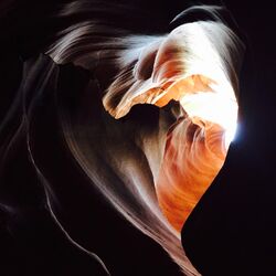 Cover of Still Wild