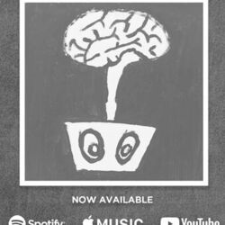 Cover of Sandfields