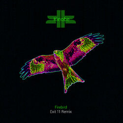 Cover of Firebird (EXIT 11 Mix)