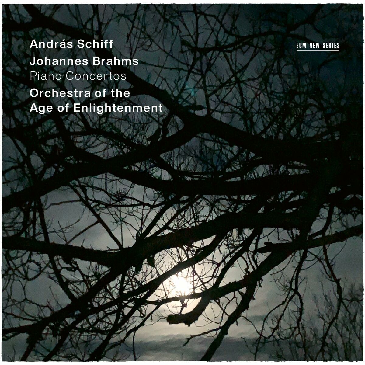 Album cover of Brahms: Piano Concertos