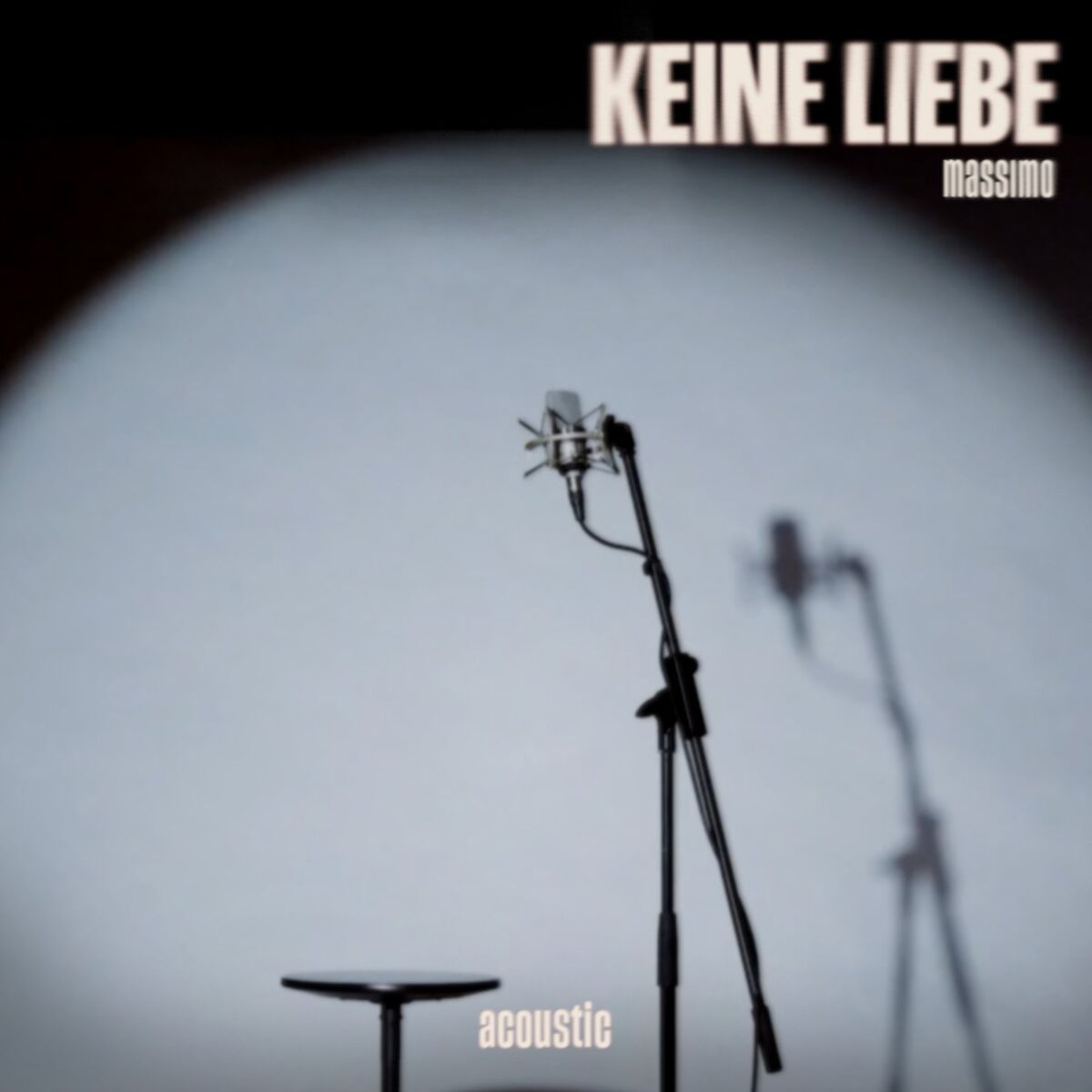 Album cover of Keine Liebe