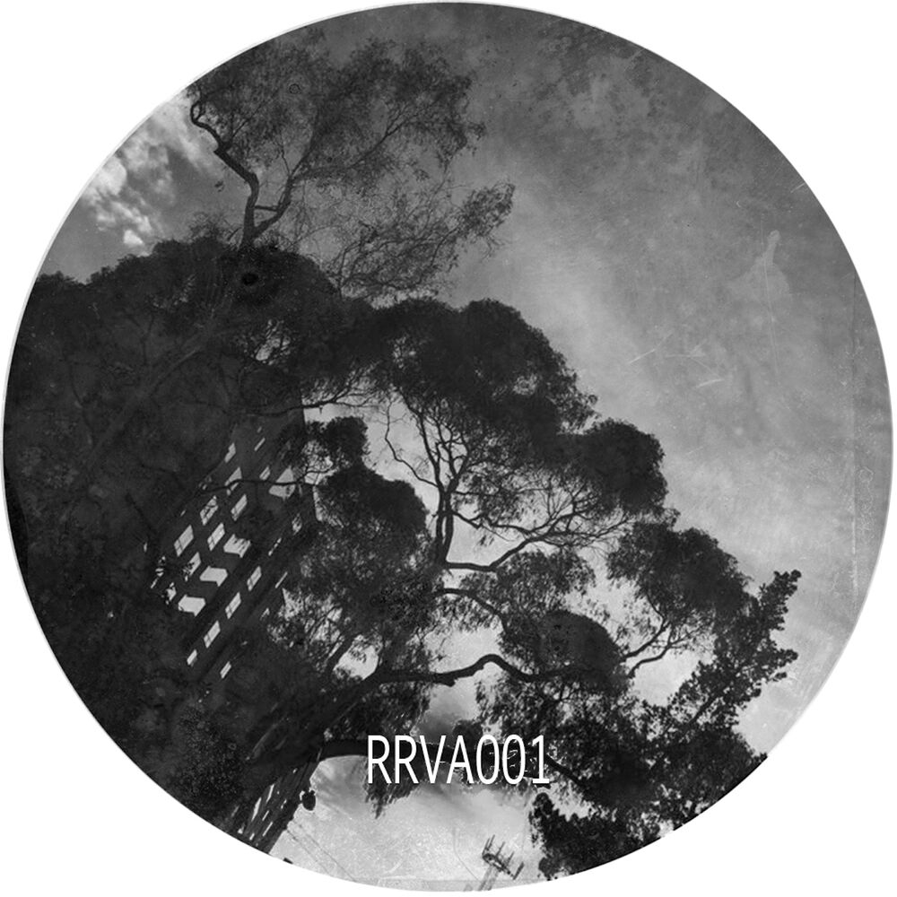 Picture of Various Artist 001