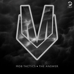 Cover of The Answer