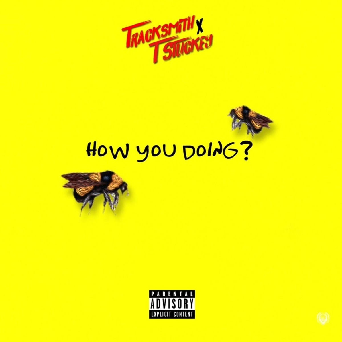 T Stuckey: albums, songs, concerts | Deezer