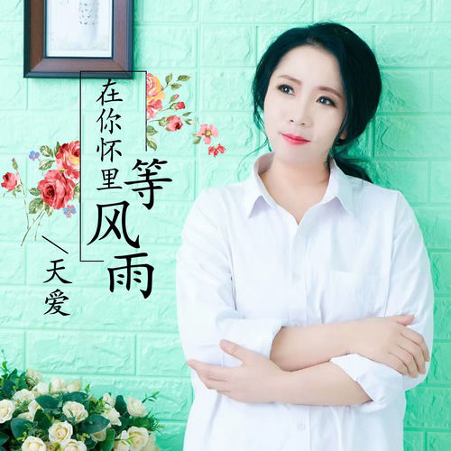 在你怀里等风雨