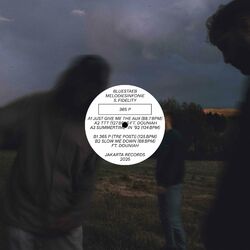 Cover of Slow Me Down