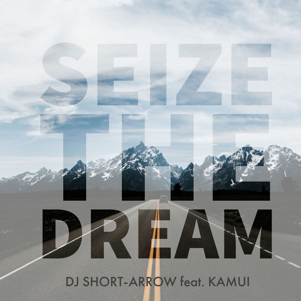 Picture of SEIZE THE DREAM (feat. KAMUI)